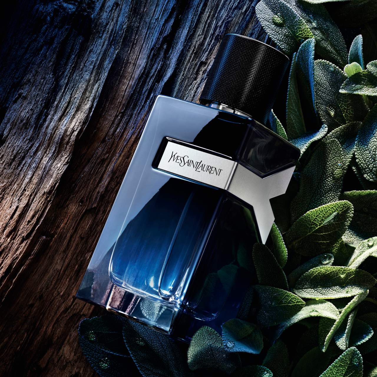 Authentic Yves Saint Laurent Y Eau de Parfum with Fresh Geranium & Sensual Woods 100ML